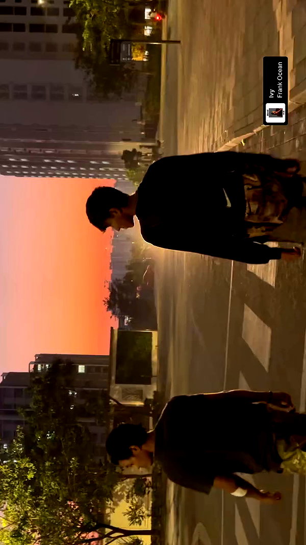 simrxn.n archive video preview
