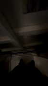 roee_mor_62 Altpins Profile Picture