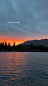 maori_cohen Altpins Profile Picture