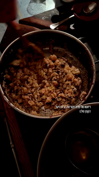 iambohema.v2 iambohema.v2 archive video