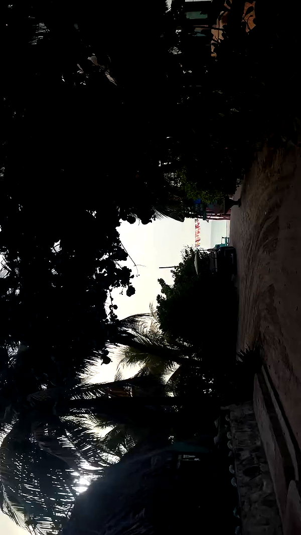 gissell_eli archive video preview