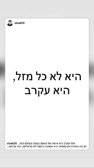 _lil_noa_ _lil_noa_ archive video