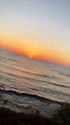 nicole_ac Altpins Profile Picture
