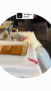 avestanova Altpins Profile Picture