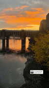 jahia_brown Altpins Profile Picture