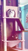 _ociaa_05 Altpins Profile Picture