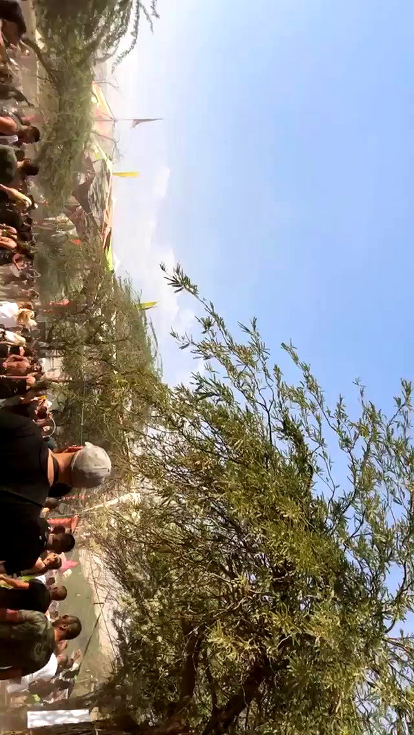 _lironatias archive video preview