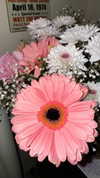 libby_reut Altpins Profile Picture
