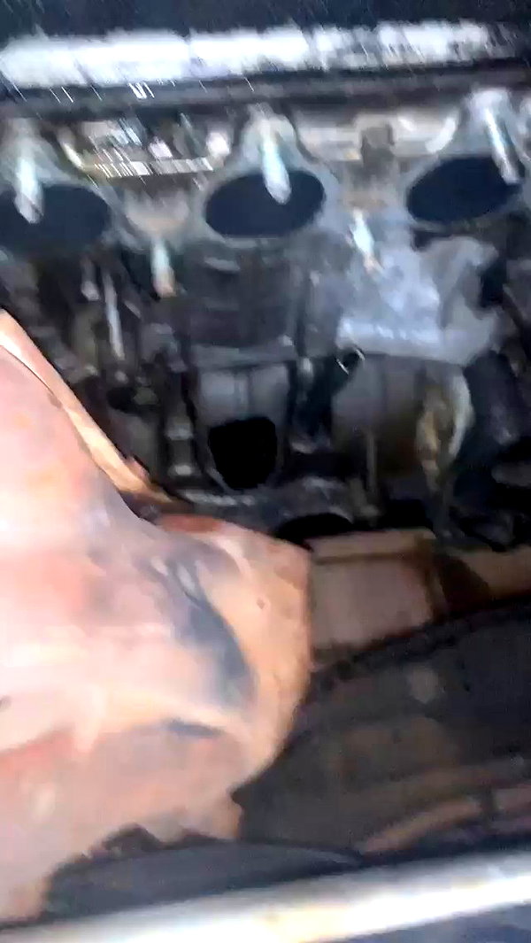 eitan.420 archive video preview