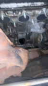 eitan.420 Altpins Profile Picture