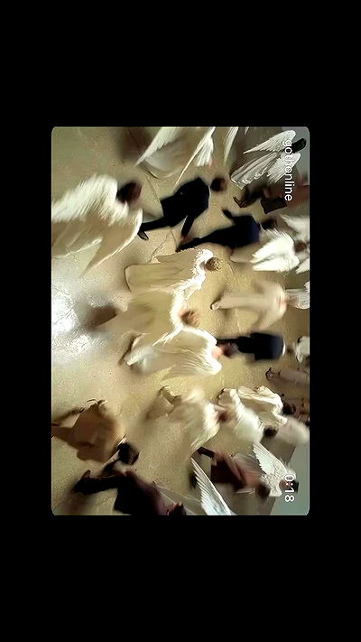 liashaked liashaked archive video