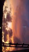 ann.shellll Altpins Profile Picture