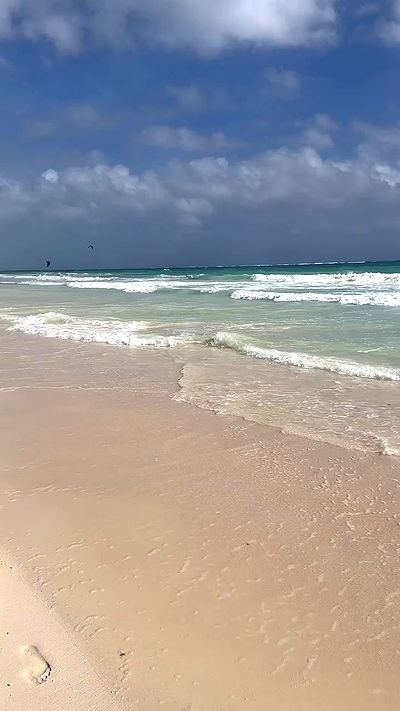 taylor.creeden taylor.creeden archive video