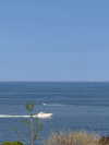 shira_adar_ Altpins Profile Picture
