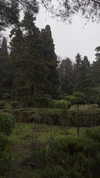 naivems_ Altpins Profile Picture