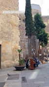 biancanataliie Altpins Profile Picture