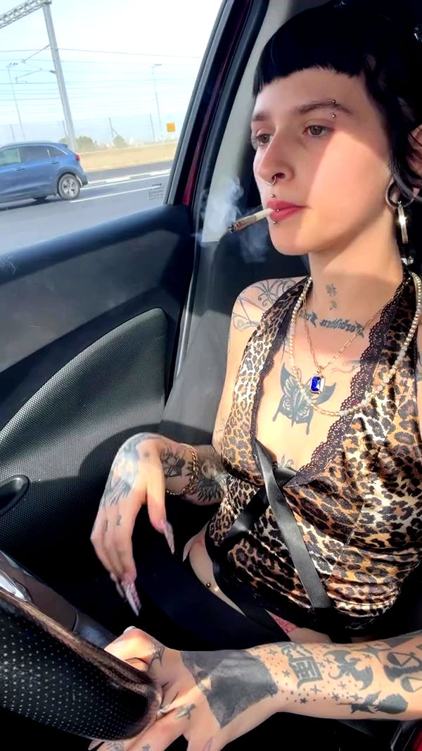 strawberryshans archive video preview