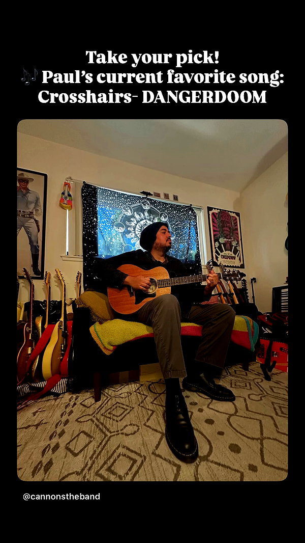 cannonstheband archive video preview