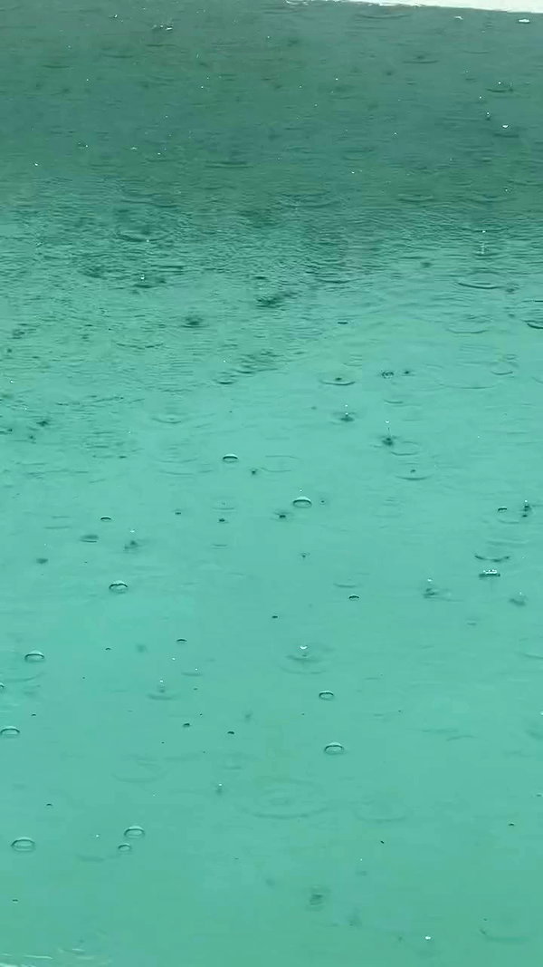 sullivang_ archive video preview