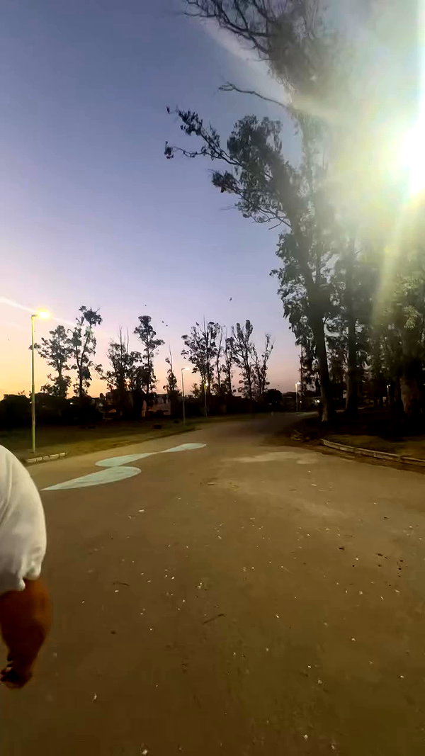_aldibernardo archive video preview