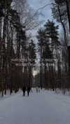 alishevs Altpins Profile Picture