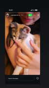 dante_yangpa Altpins Profile Picture