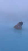 rouxroux.tv Altpins Profile Picture