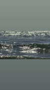 efrat_elmalich Altpins Profile Picture