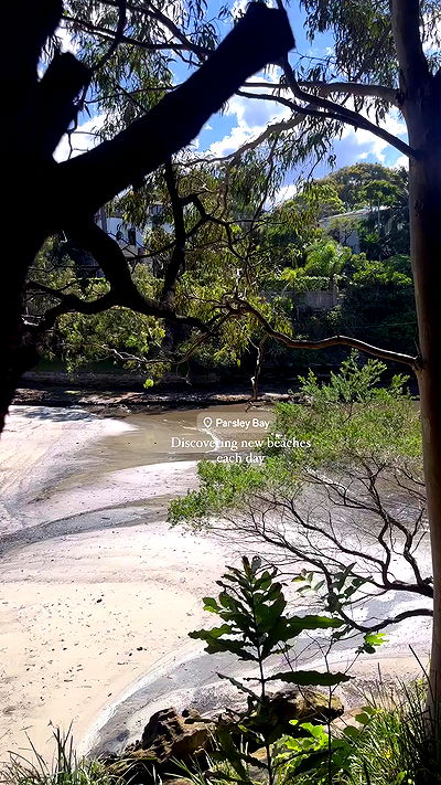 taylor.creeden taylor.creeden archive video