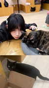 yuyuslivestreamdiary Altpins Profile Picture