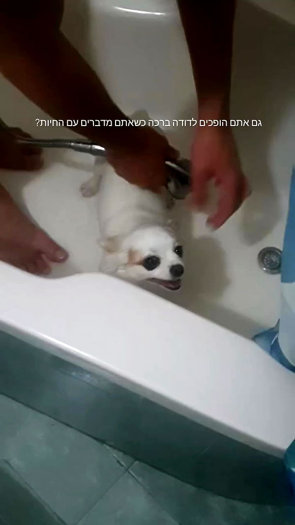 tinapavlov.sky archive video preview