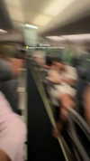 mishel_d_ Altpins Profile Picture