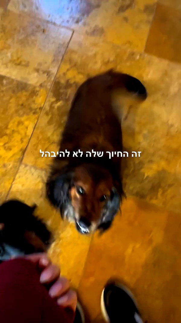 libby_reut archive video preview