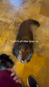 libby_reut Altpins Profile Picture