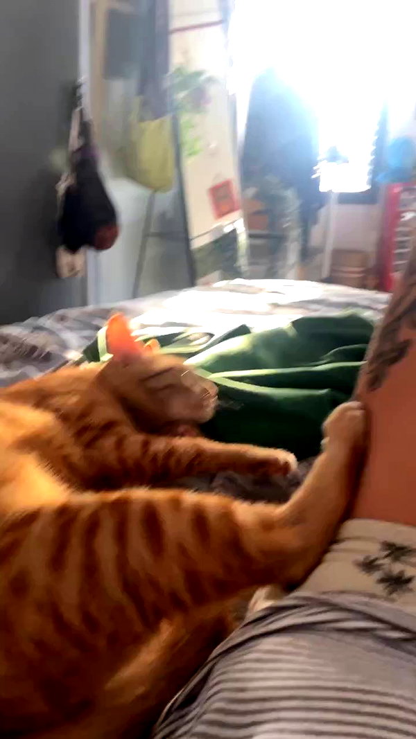 ronyida_ archive video preview