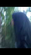 yanyluya Altpins Profile Picture