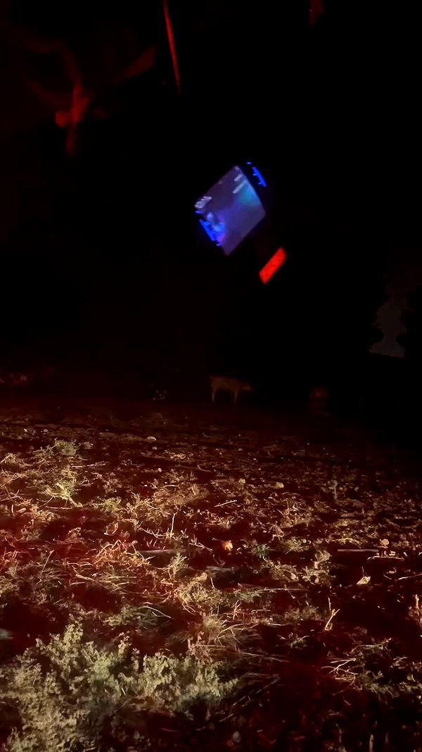 _.shelichka._ archive video preview