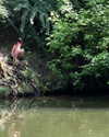 milena_milachich Altpins Profile Picture