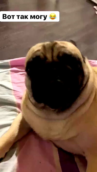 nyityam nyityam archive video