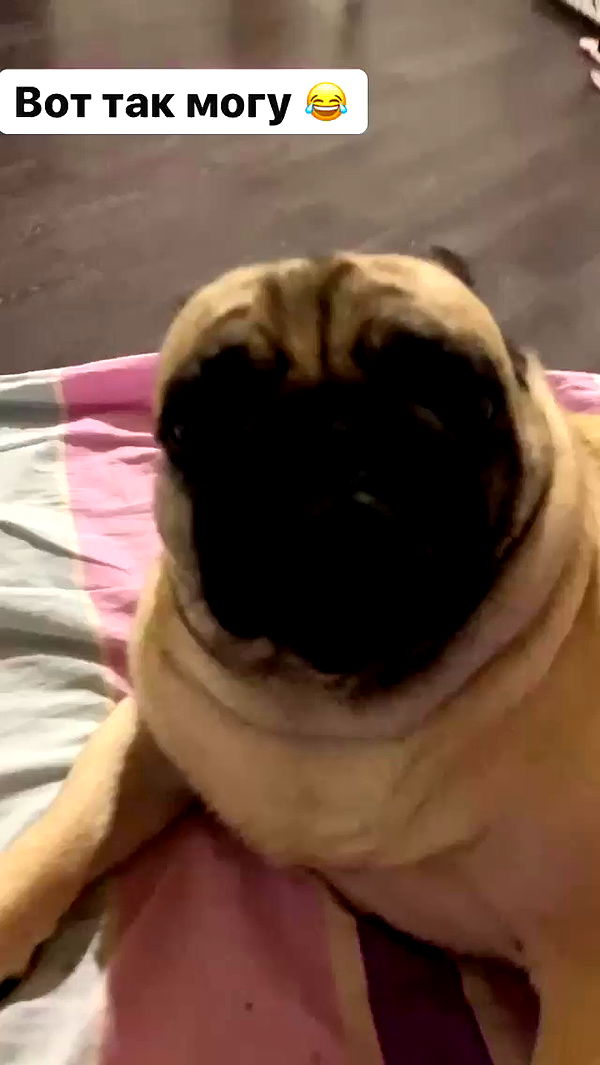 nyityam archive video preview