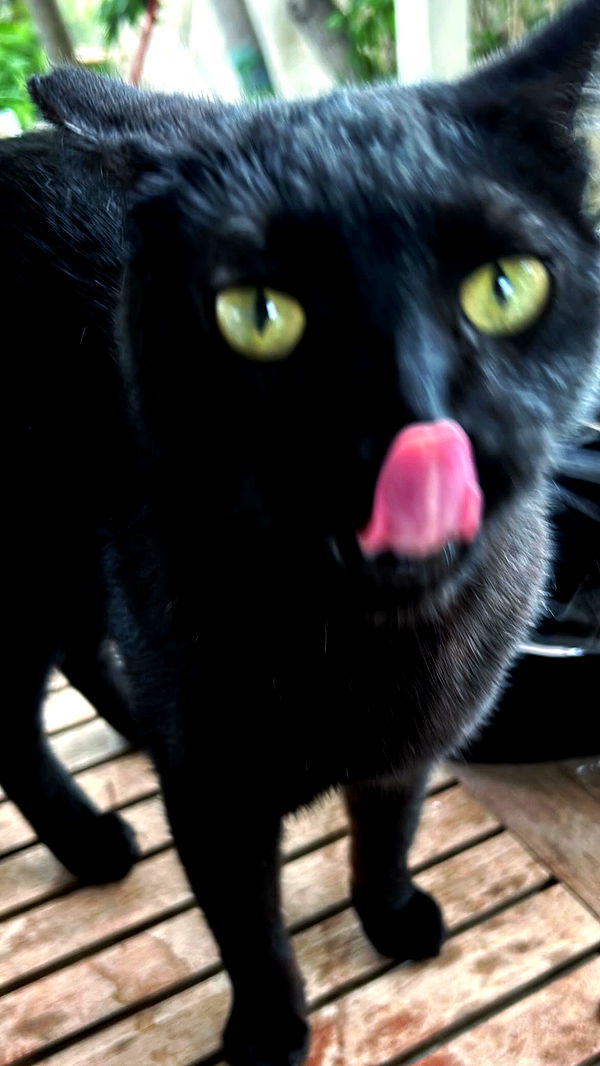 xzot1_met4xx archive video preview