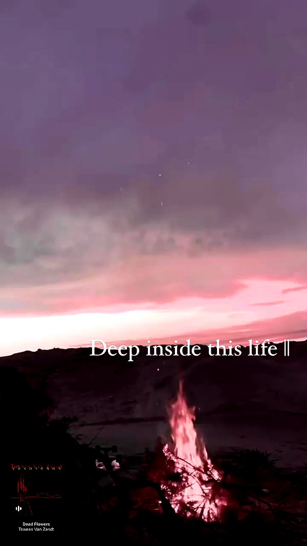 chris_fucking_wild archive video preview