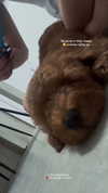 agam._.harel Altpins Profile Picture