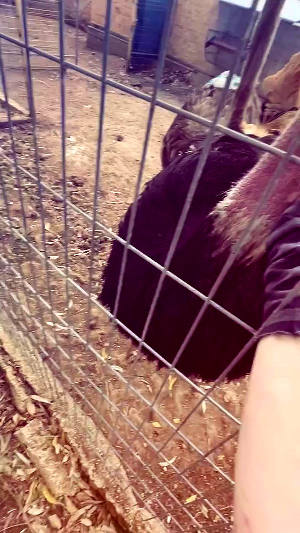 feelbetterinmysweater archive video preview