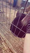 feelbetterinmysweater Altpins Profile Picture