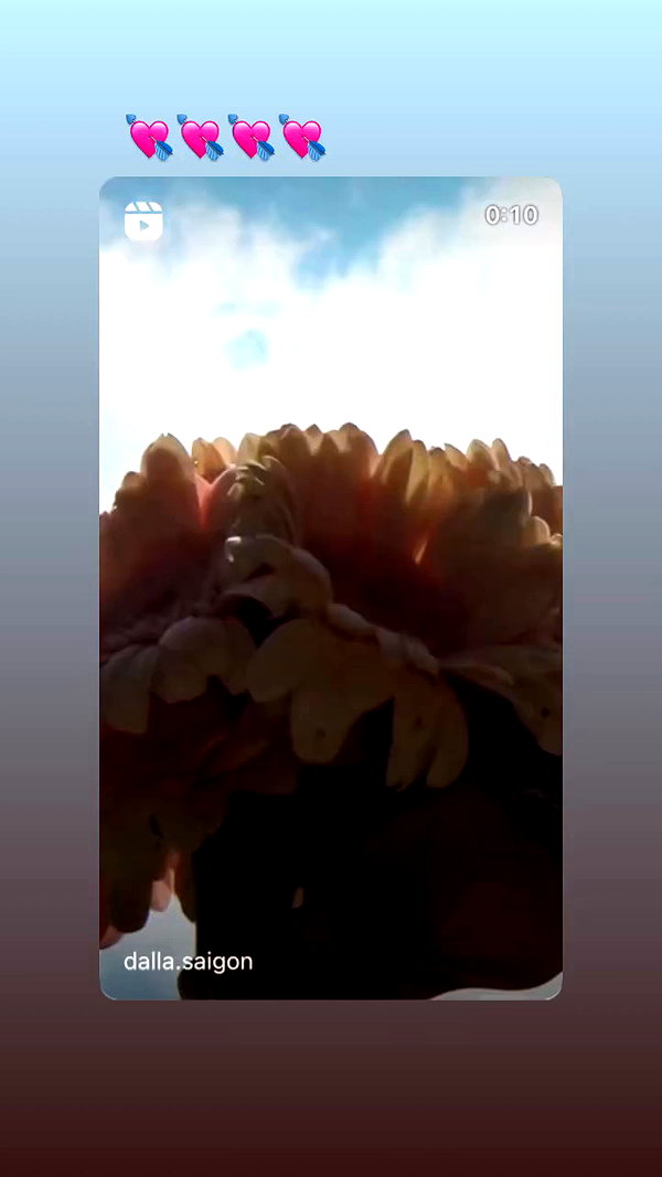 badassn_ archive video preview