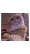 blarnes Altpins Profile Picture