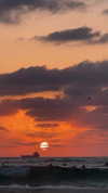 _lironatias Altpins Profile Picture