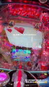 nagichan_doll Altpins Profile Picture