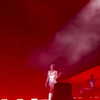 dualipa Altpins Profile Picture